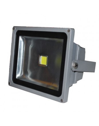 FortuneArrt 30 WATT LED Flood Light
