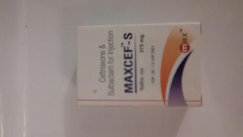 MAXCEF-S - 97-99.9% Purity Liquid Formulation | General Drugs for Adults, Store in Dry Place