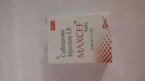 Maxcef Antibiotic Medicine - Formulations Form: Liquid