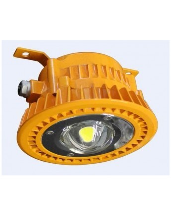 FortuneArrt 40 WATT LED Flame Proof Light