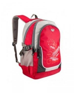 School Bag - Polyester, 18x12x6 inches | Spacious, Durable, Lightweight, Water Resistant, Multiple Pockets, Adjustable Straps