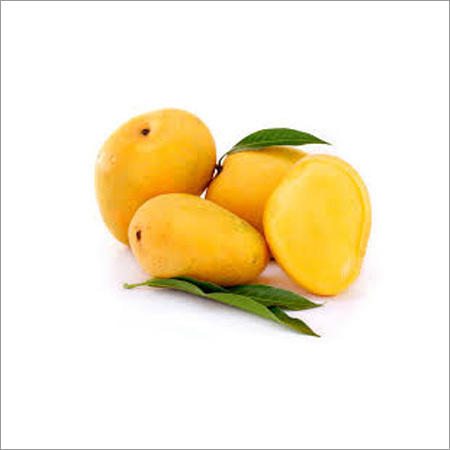 Mango Fruit