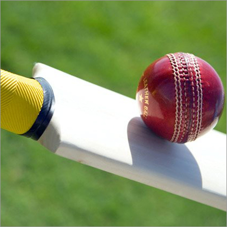 Cricket Bat Ball Set