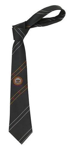 Neck Ties for Educational Instirutes