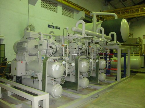 IQF Plant
