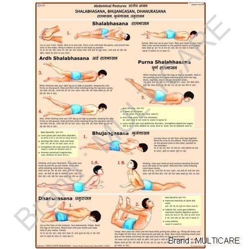 Shalbhasana Chart - Map Litho Paper 50x70 cm Multicolour, Laminated 30 Micron Polyester, Bilingual English-Hindi
