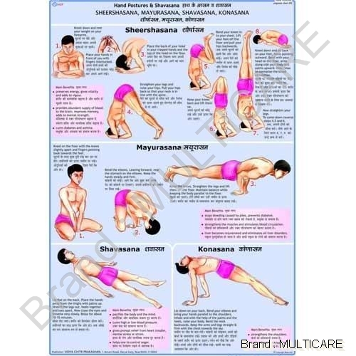 Sheershasana Chart - Map Litho Paper 50x70 cm Multicolour, Laminated 30 Micron Polyester, Plastic Rollers, Bilingual English-Hindi