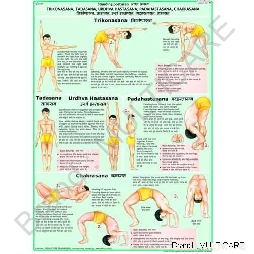 Chakrasana Charts - Map Litho Paper 50x70 cm Multicolor, Laminated 30 Micron Polyester, English-Hindi, Plastic Rollers, Durable