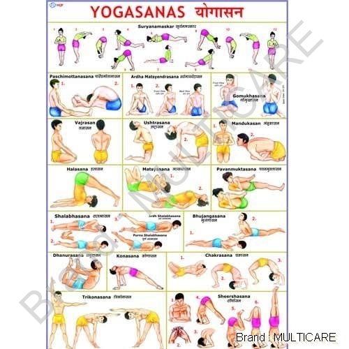 Large Yogasana Chart - Map Litho Paper 70x100 cm Multicolor, Laminated 30 Micron Polyester, Bilingual Hanging Roller