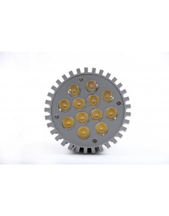 Par Lamps