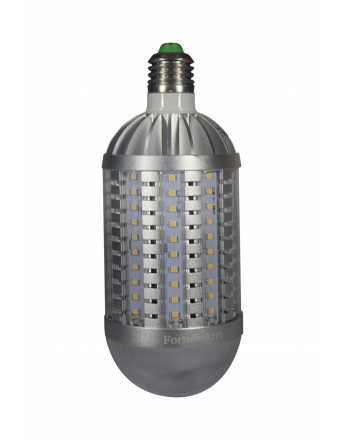 FortuneArrt 20 WATT LED Corn Lamp
