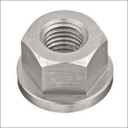 Stainless Steel Nut