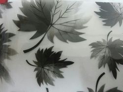 Glass Film