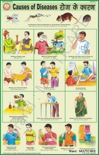 Causes of Diseases Chart