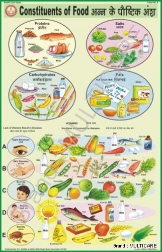 Constituents Of Food Chart