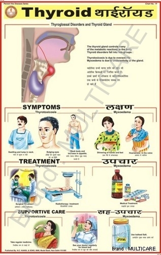 Thyroid Chart - Plastic 70x100 cm White, Laminated Double-Sided, Bilingual Roller-Mounted Educational Chart