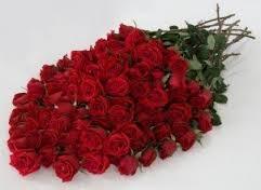 Fresh Cut Red Roses