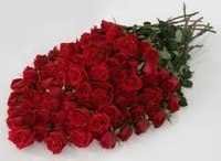 Fresh Cut Red Roses