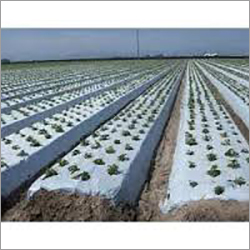Mulching Sheet Bedding 