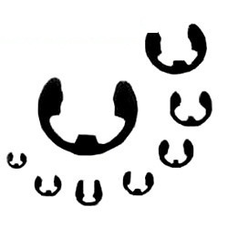 E-Type Circlips