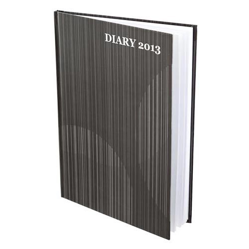  SPY CAMERA IN DAILY USE DIARY  IN DELHI INDIA a   9811251277