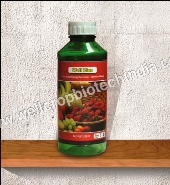 Zinc Solubilizing Bacteria