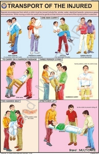 Transport of The Injured Chart - Laminated Plastic, 50x75 cm, Plastic Rollers | Bilingual, Glossy Finish, First Aid Guide
