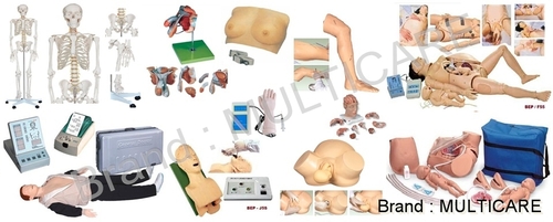 Anatomical Models