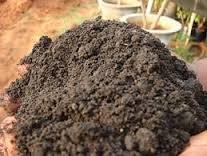 ORGANIC FERTILIZER 