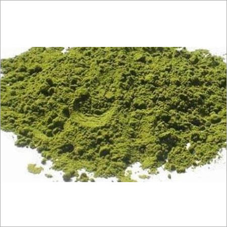 Powder Pudina Mast Seasoning