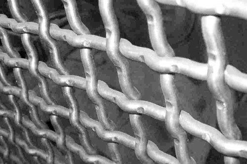Mild Steel Wire Mesh