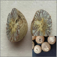Whole Betel Nut