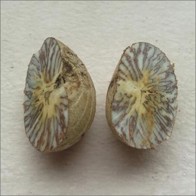 Split Betel Nut