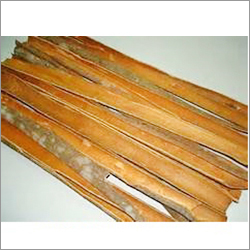 Slit Cassia