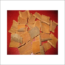 Square Cassia