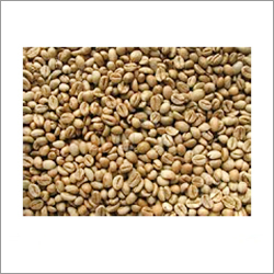Robusta Coffee