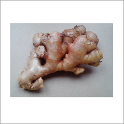 Ginger Grade C