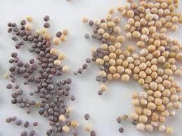 french's best mustard seed