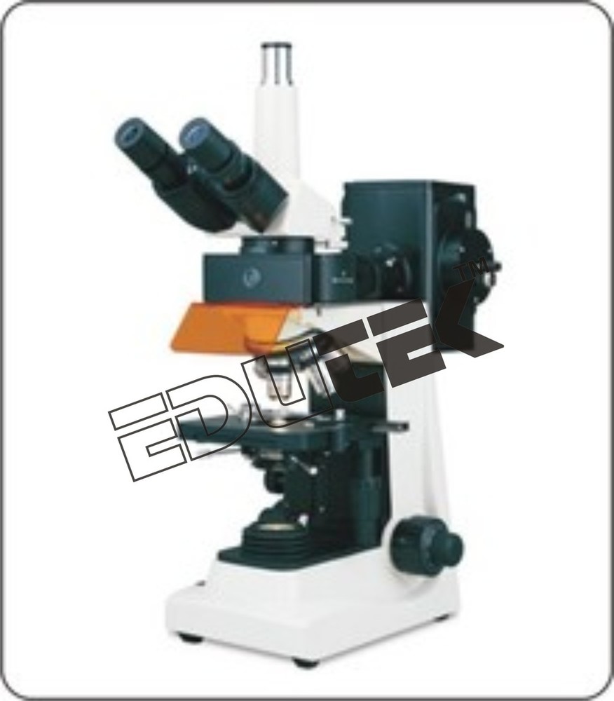Fluorescent Microscope By EDUTEK INSTRUMENTATION