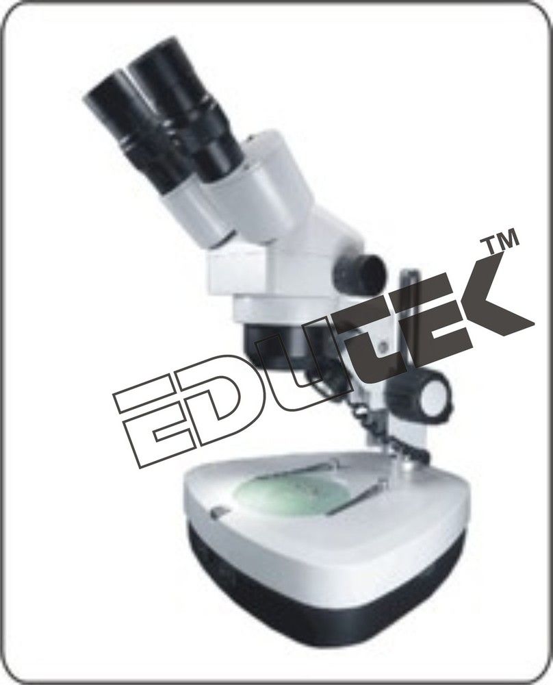 Stereo Binocular Microscope