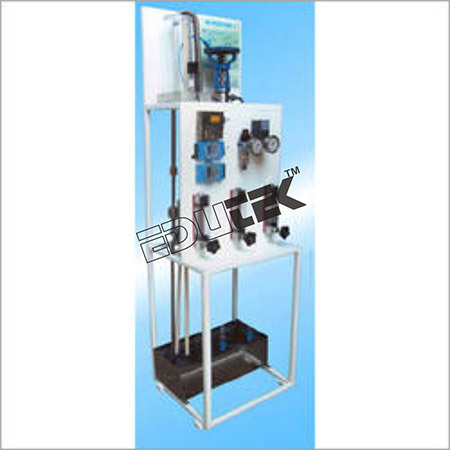 Multiprocess Trainer