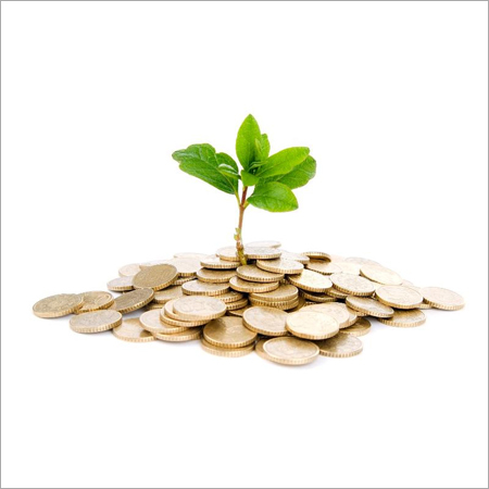 Legal And Finance Consultancy