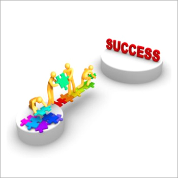 Project Execution Services