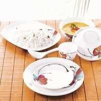 Borosil 35pc Melamine Dinner Set- Vibgyor Fidenza