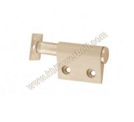 Brass Mango Push Magnet