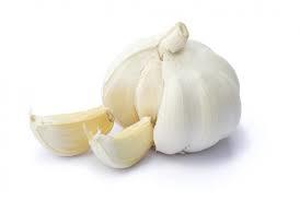 garlic oil