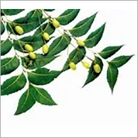 Neem Oil Neem Oil