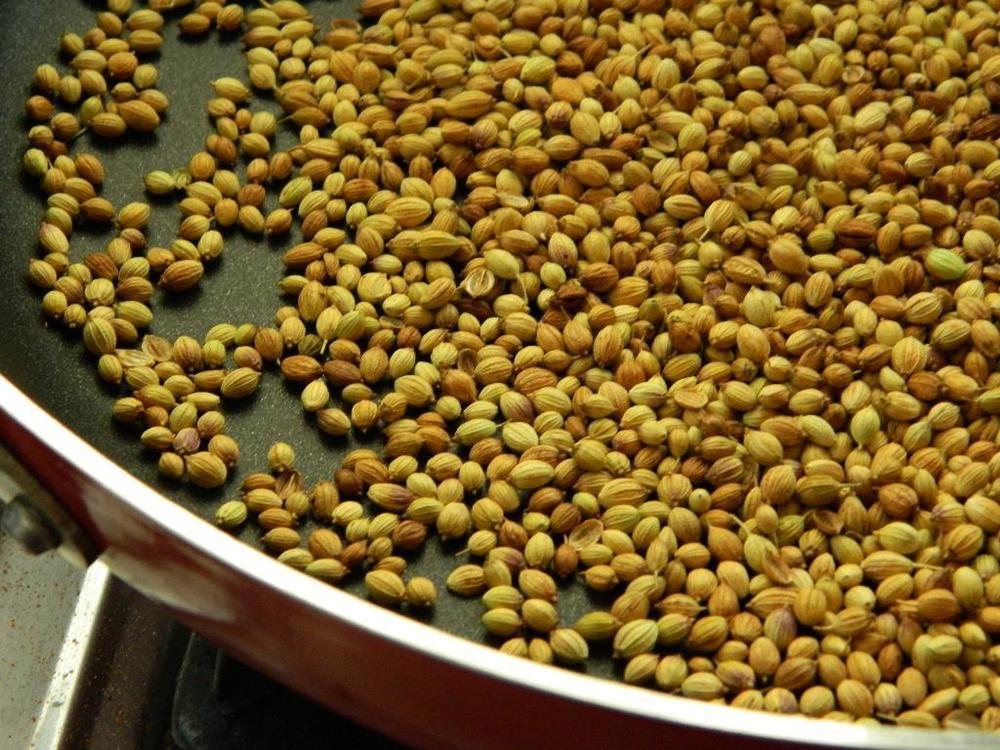 Clover Coriander Seed