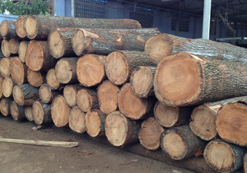 Silverwood Timber Logs