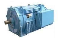  Low Voltage Motors Rerolling Mill Duty Motor